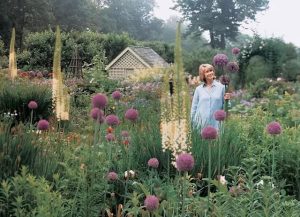 How the "Martha Stewart Aesthetic" is Shaping Sustainable Interiors in 2025