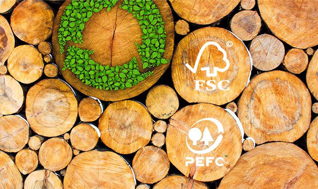 The Rise of Sustainable Plywood: FSC, PEFC, and Carbon Labels